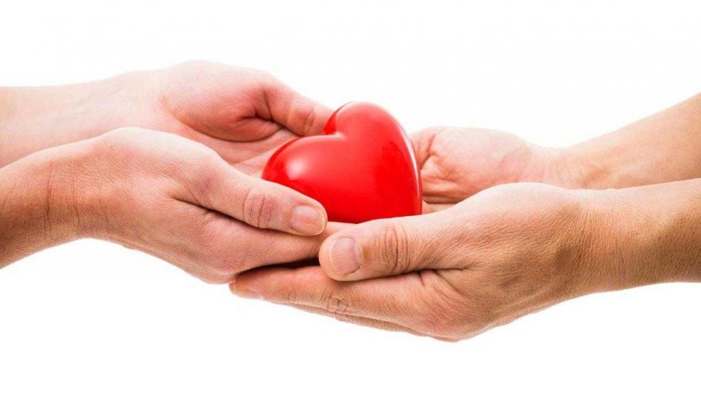 В помощь людям: НОВИКОМ провёл осенний День донора