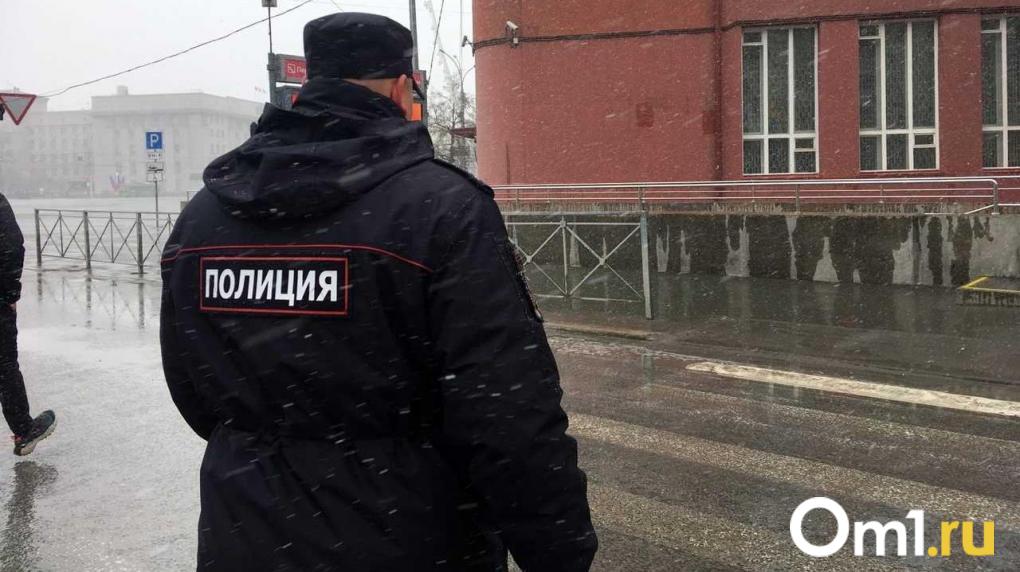 Полиция нашла нелегальных мигрантов во время рейда в новосибирском кафе