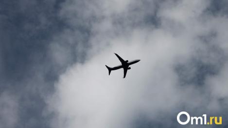В Омске в 2026 году станет больше субсидированных рейсов: куда можно будет дёшево улететь?