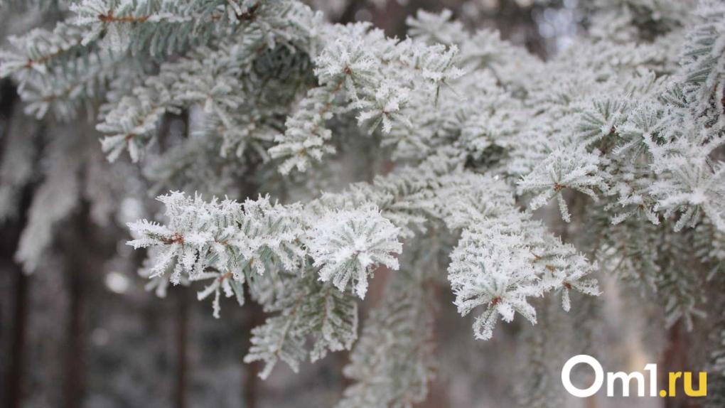 Синоптики предупредили: 26 ноября в Новосибирске погода резко сменится