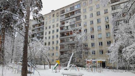 «Это очень серьёзная проблема»: упавшая на жилой дом берёза вызвала беспокойство в Академгородке