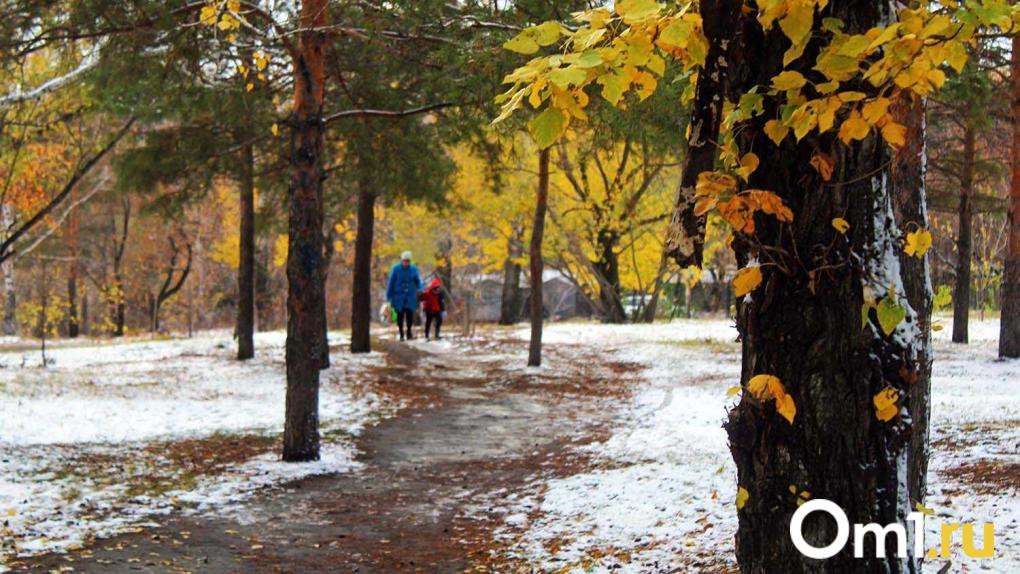 Жительница Новосибирска родила четверняшек после 6 лет бесплодия