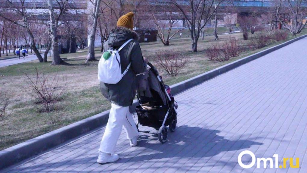 Пилотный проект реабилитации детей с инвалидностью запустят в Новосибирской области