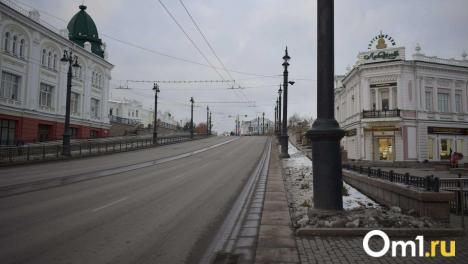 Омич проехал по тротуару на Ленина с поддельными номерами
