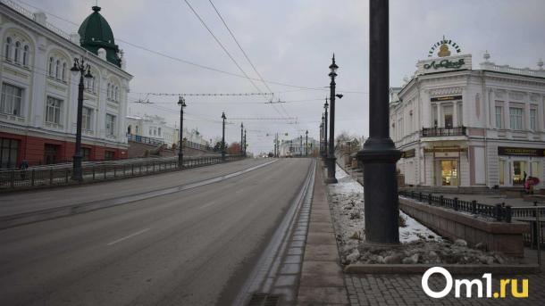 Омич проехал по тротуару на Ленина с поддельными номерами