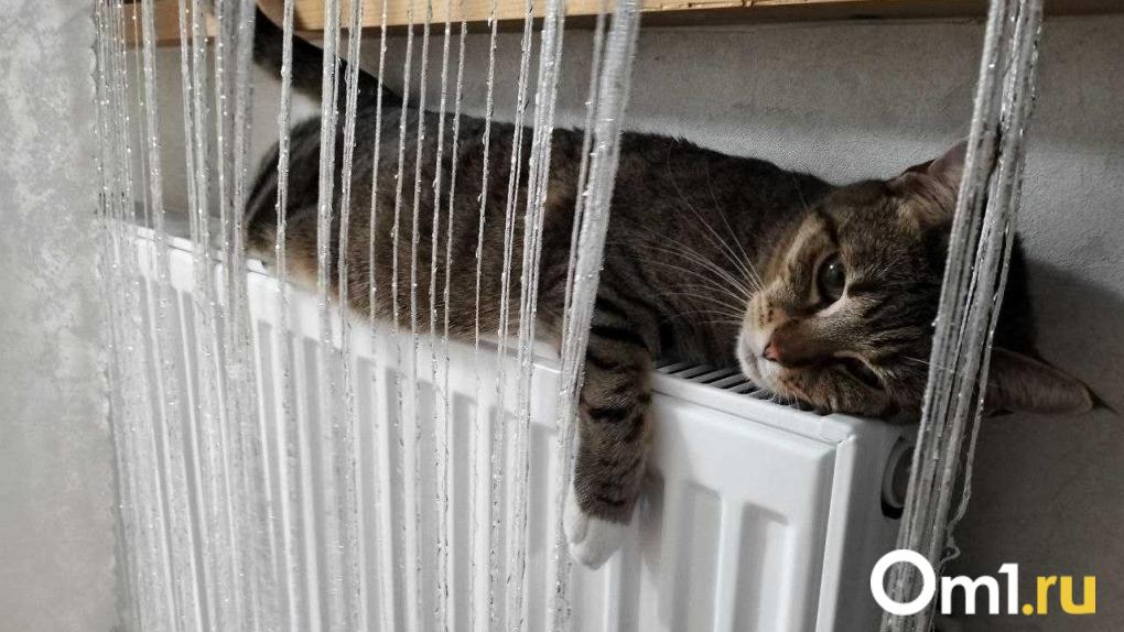 Омскую область впервые с 2013 года полностью подготовили к отопительному сезону