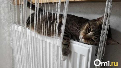 Омскую область впервые с 2013 года полностью подготовили к отопительному сезону