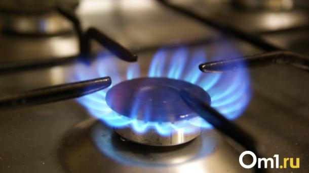 Хоценко: газ до Тары дотянут до декабря этого года