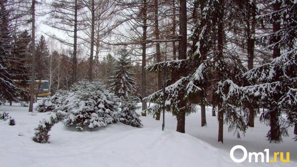 Синоптики рассказали, какой будет погода в Новосибирске 27 ноября