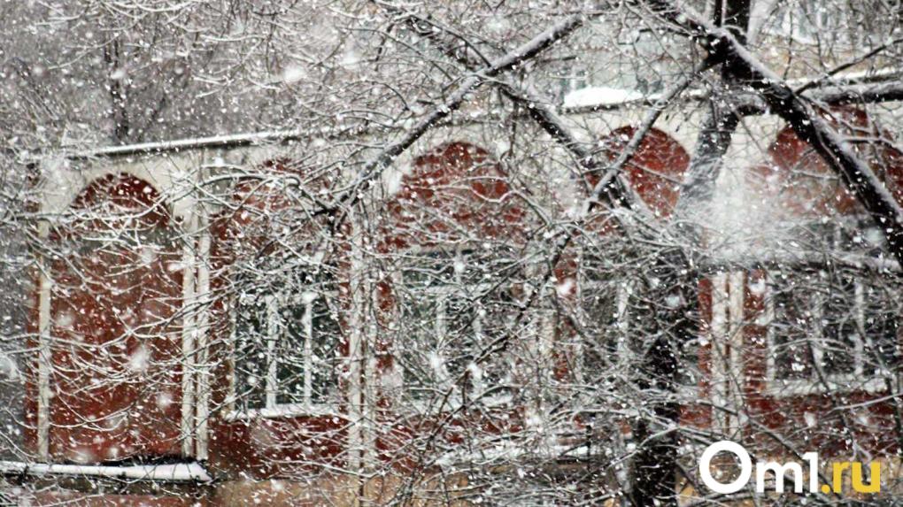 В выходные Омск накроют снегопад и метель