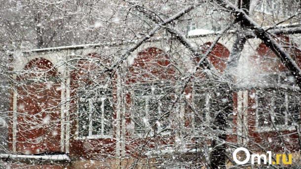 В выходные Омск накроют снегопад и метель