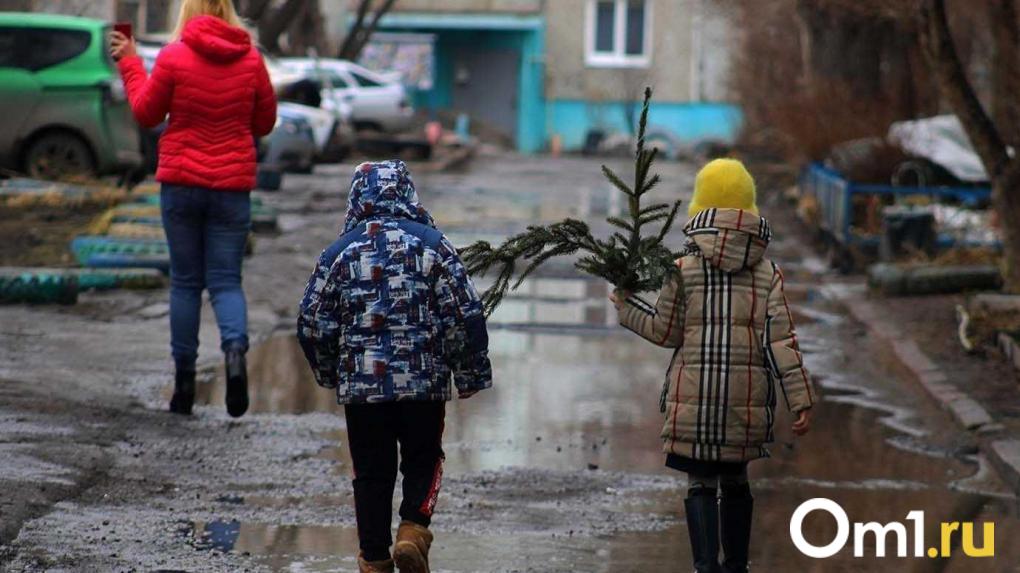 В Гидрометцентре объяснили, почему в Омске до сих пор нет снега