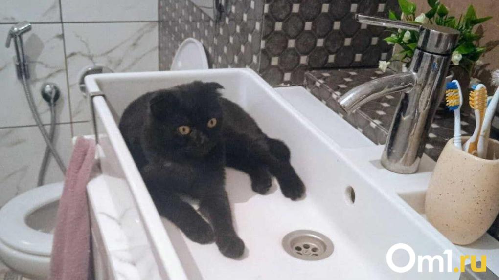 Коммунальные тарифы в Новосибирской области вырастут дважды в 2026 году