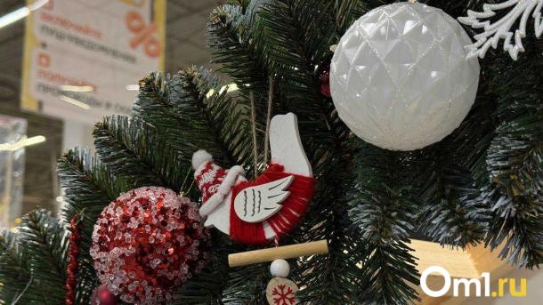 Омичи собираются потратить на празднование Нового года 14 тысяч рублей