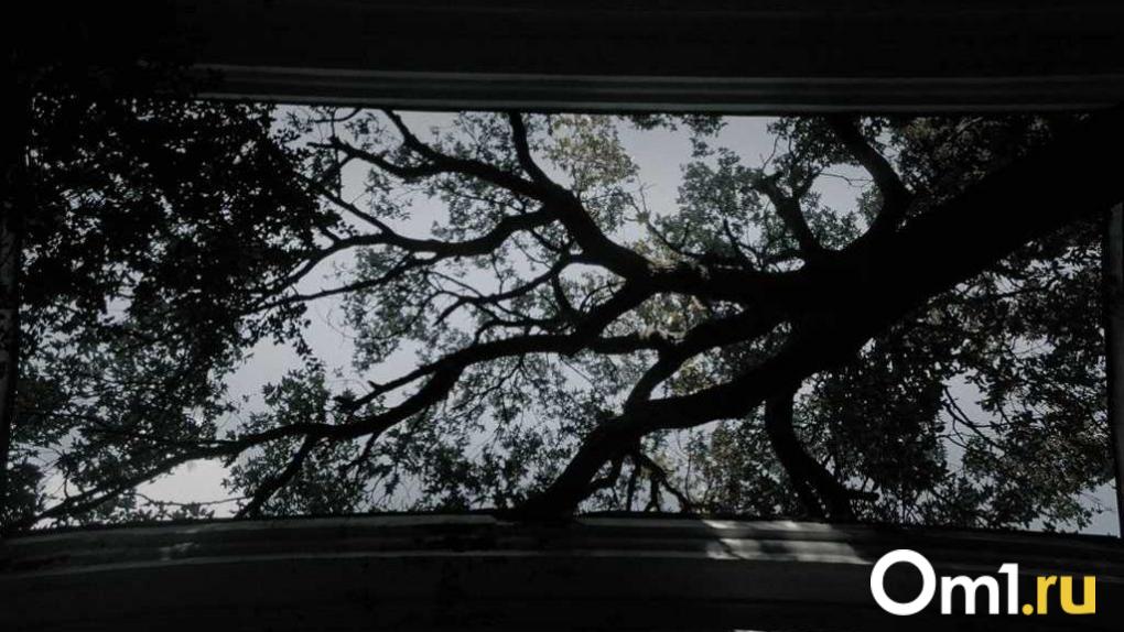 В Омске перенесли срок завершения работ на Западном кладбище