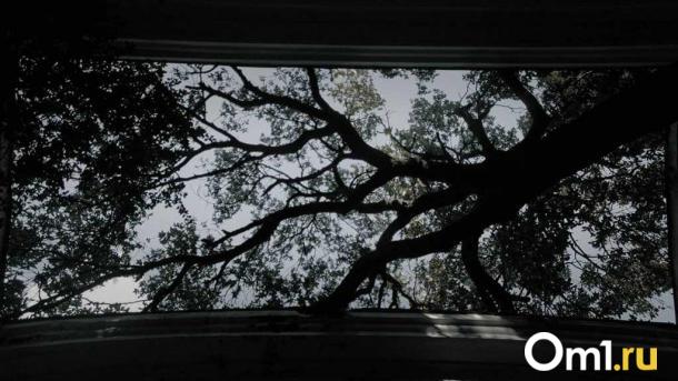 В Омске перенесли срок завершения работ на Западном кладбище