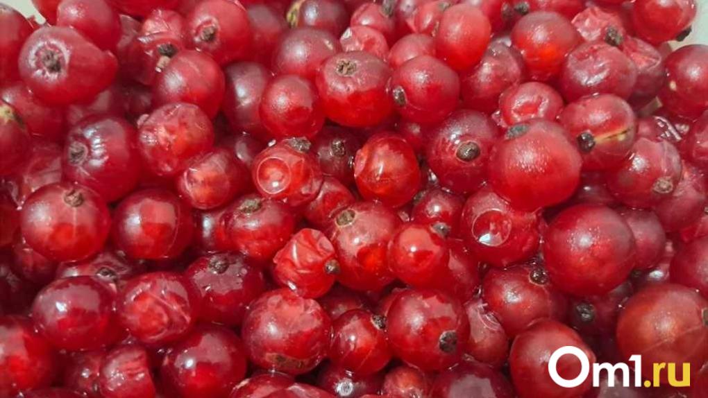 Эксперт рассказал омичам, как поддержать иммунитет в период простуд с помощью питания