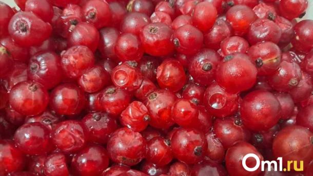 Эксперт рассказал омичам, как поддержать иммунитет в период простуд с помощью питания