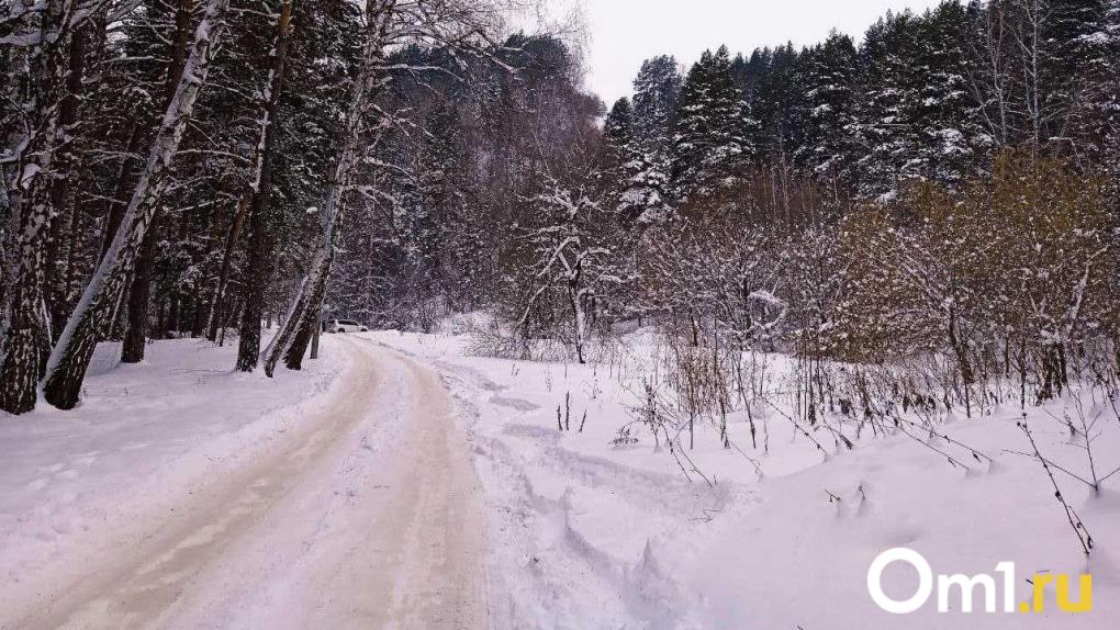 Водителей соседнего с Омской областью региона предупредили о лосях