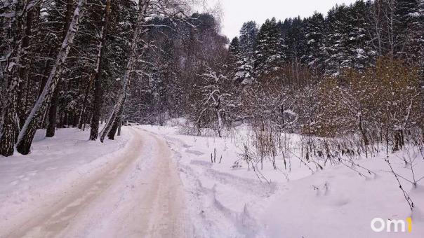 Водителей соседнего с Омской областью региона предупредили о лосях