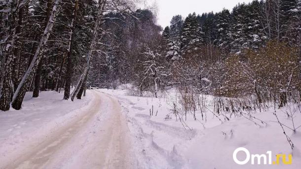 Водителей соседнего с Омской областью региона предупредили о лосях