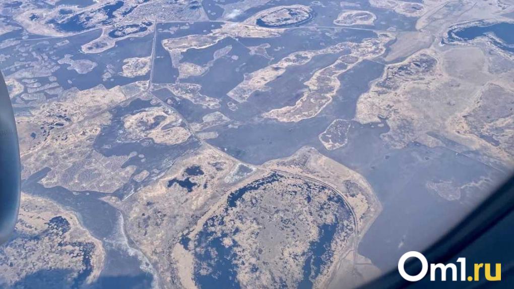 Пассажиры рейса Москва — Новосибирск услышат живую музыку на высоте 10 тысяч метров