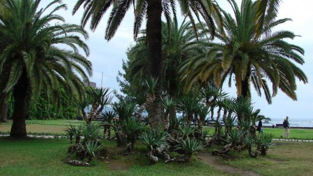 «Выбрались в цивилизацию»: новосибирский турист вышел из зоны затопления в Таиланде