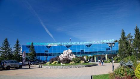 В Новосибирском зоопарке показали, как подрастают ягнята и телёнок