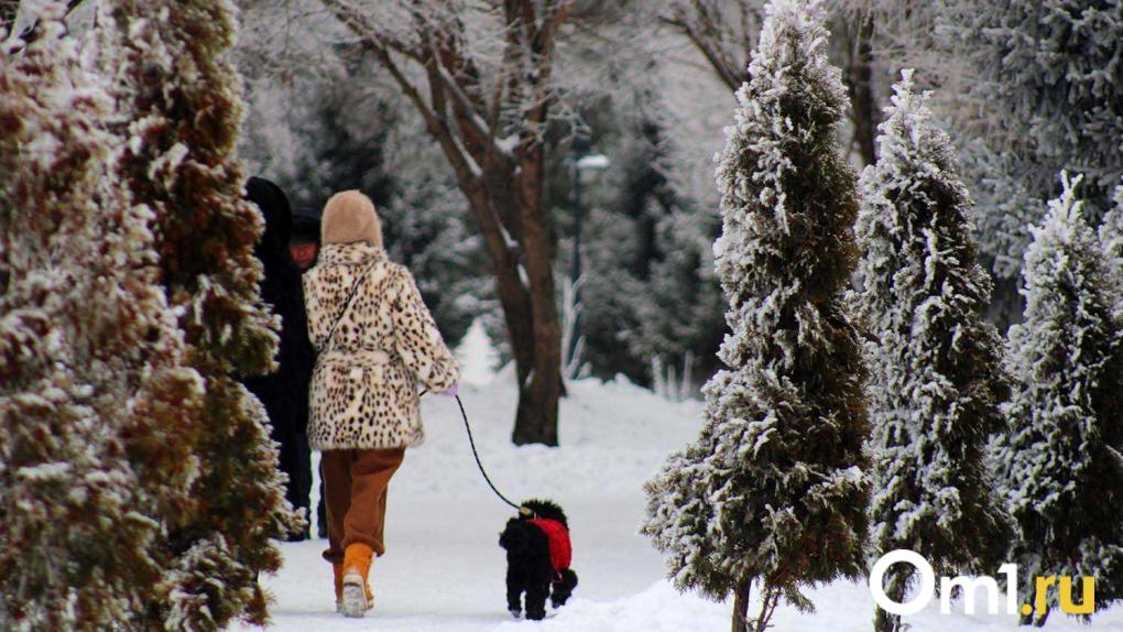 В Омске объявили штормовое предупреждение из-за приближающейся метели