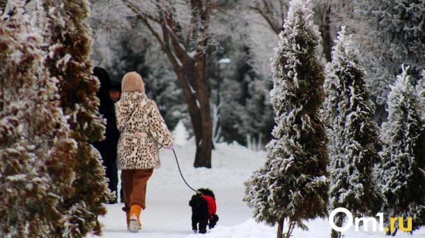В Омске объявили штормовое предупреждение из-за приближающейся метели