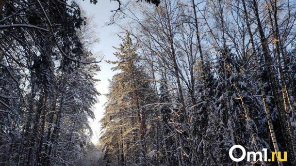 Эксперты раскрыли Топ-5 горнолыжных направлений на Новый 2026 год
