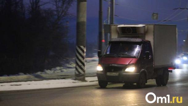 Переходила дорогу не по правилам: в Омске грузовик сбил 11-летнюю девочку