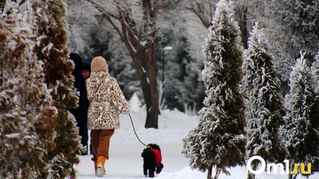 -15 и снегопады: синоптики рассказали о погоде в Омске на следующую неделю