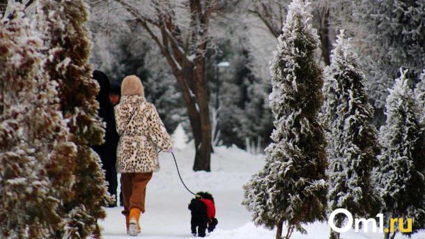 -15 и снегопады: синоптики рассказали о погоде в Омске на следующую неделю