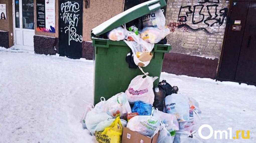 Омскую компанию внесли в список недобросовестных подрядчиков из-за невывезенного мусора