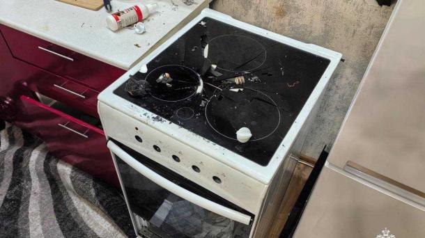 В Новосибирске собака включила плиту в многоэтажке, взрыв выбил дверь