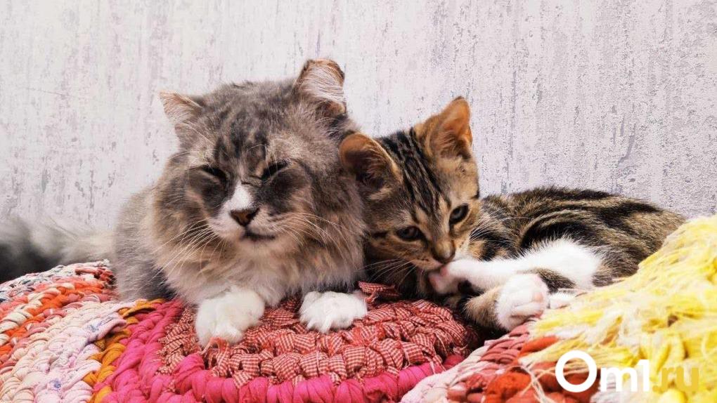 «Мама не стала кричать, а обняла меня»: тёплые истории от омичей ко Дню матери