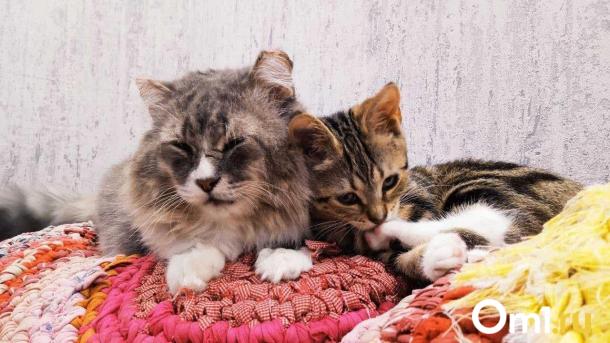 «Мама не стала кричать, а обняла меня»: тёплые истории от омичей ко Дню матери