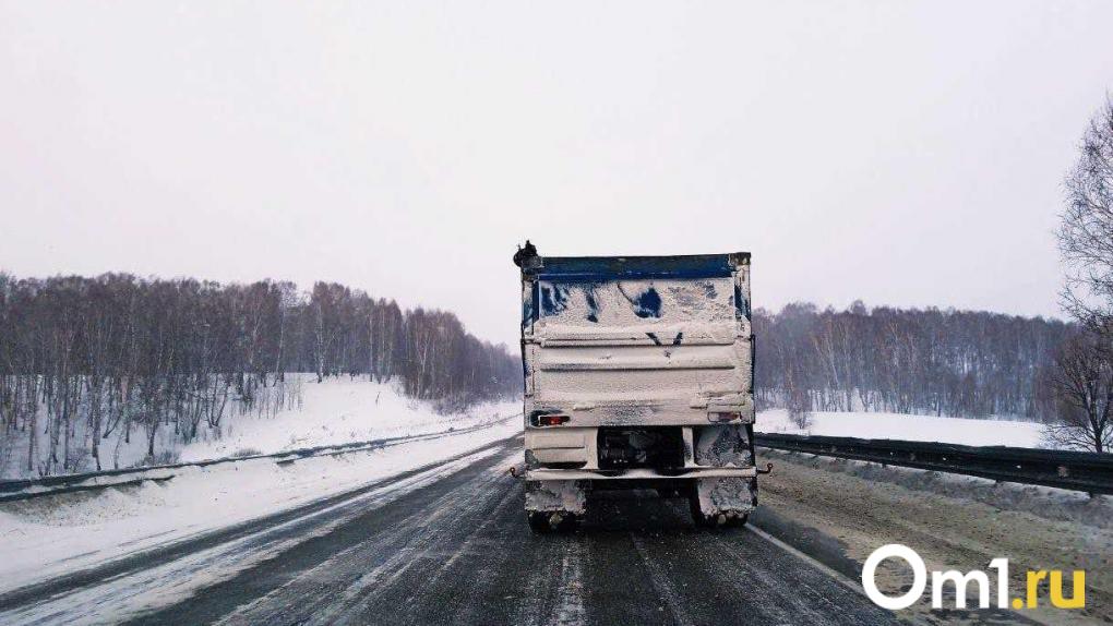 Стало известно, какие товары из Омска отправляют в Того и Колумбию
