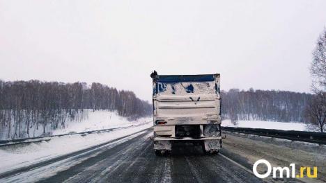 Стало известно, какие товары из Омска отправляют в Того и Колумбию