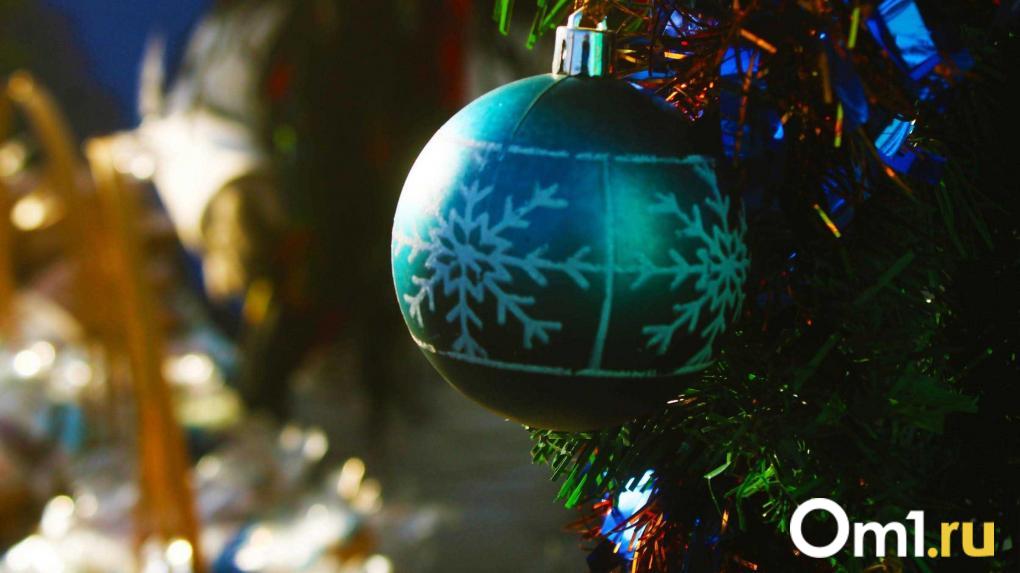 Омичи могут встретить Новый год в Омской крепости