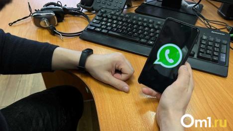 Депутат назвал сроки, когда WhatsApp* в России могут заблокировать