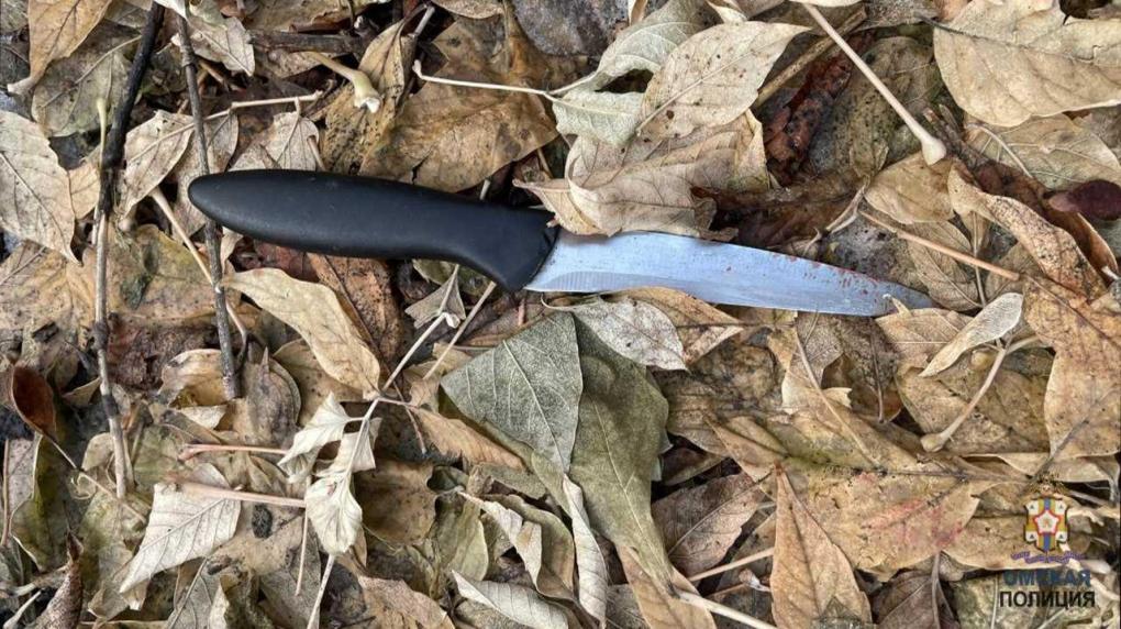 Отцы детей одной омички устроили драку с ножом