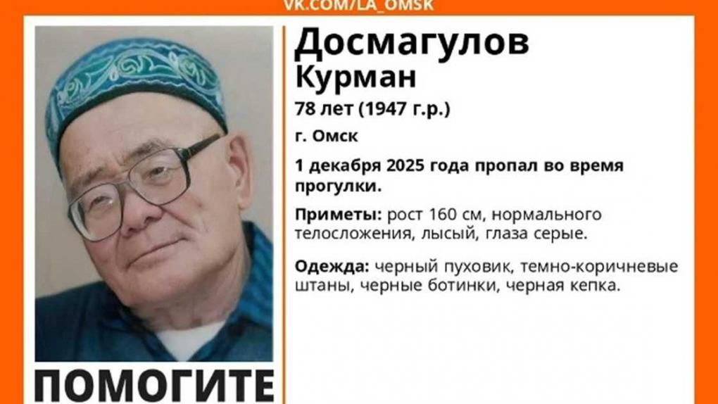 Пожилой омич во всём чёрном пропал после прогулки