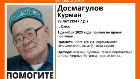 Пожилой омич во всём чёрном пропал после прогулки