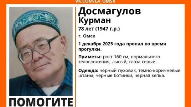 Пожилой омич во всём чёрном пропал после прогулки