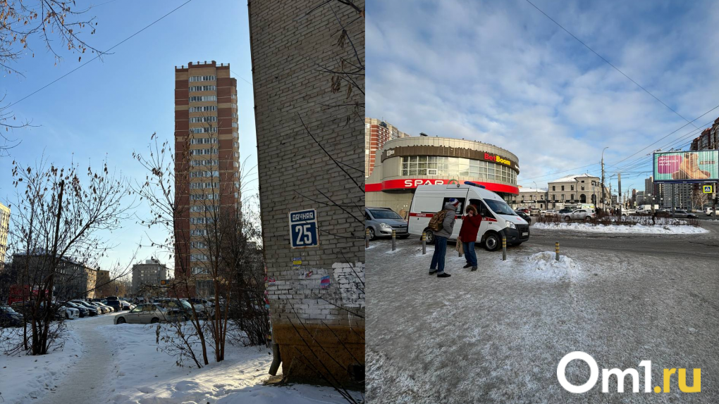 Мэрия Новосибирска объяснила отсутствие ёлок на базарах в первый день зимы