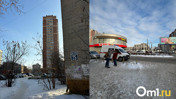 Мэрия Новосибирска объяснила отсутствие ёлок на базарах в первый день зимы