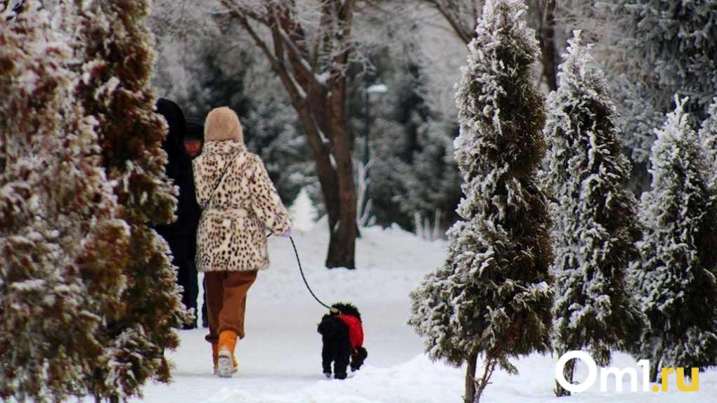 До –28 °C: аномальные холода придут в Омскую область на следующей неделе