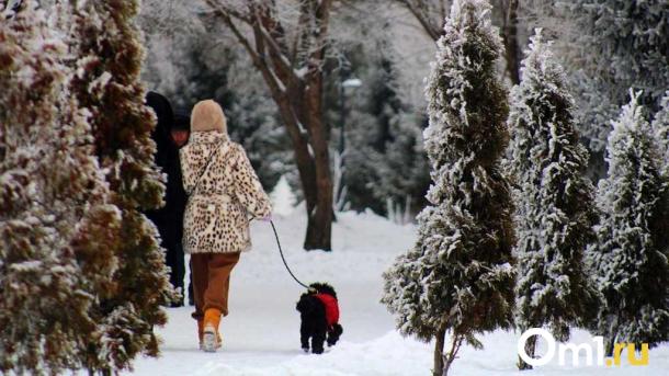 До –28 °C: аномальные холода придут в Омскую область на следующей неделе